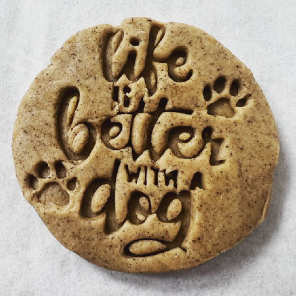 Lucas-pumpkin high protein Dog treats in Cleveland