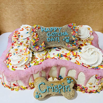 cleveland-cakes-for-dogs-21 Dog Birthday Cake